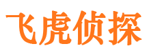 莱山市私家侦探